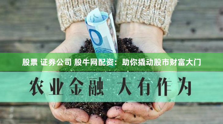 股票 证券公司 股牛网配资：助你撬动股市财富大门